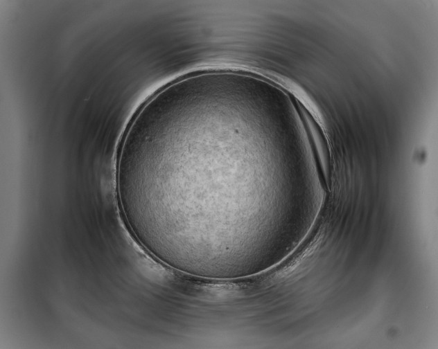 X0000100311388200806121030