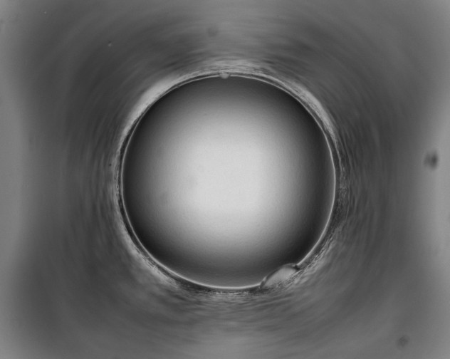 X0000100311389200806121030