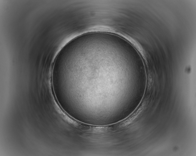 X0000100311390200806121030