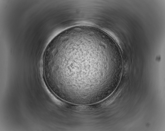 X0000100311391200806121030