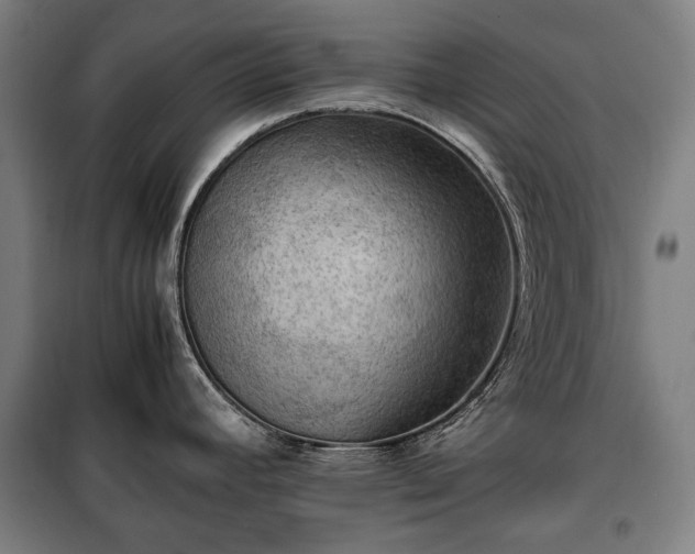X0000100311392200806121030