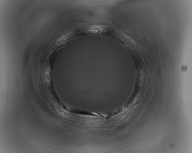X0000100311394200806121029