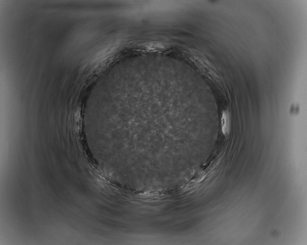 X0000100311395200806121029