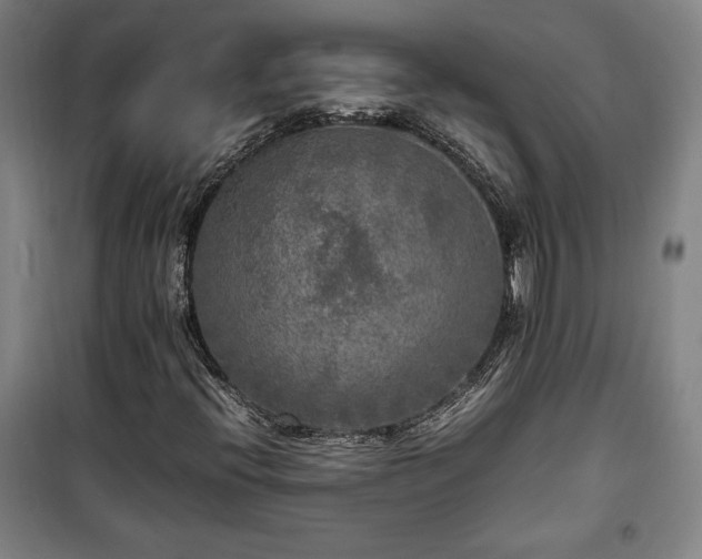X0000100311396200806121029