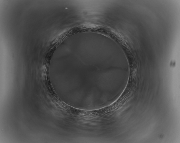 X0000100311397200806121029