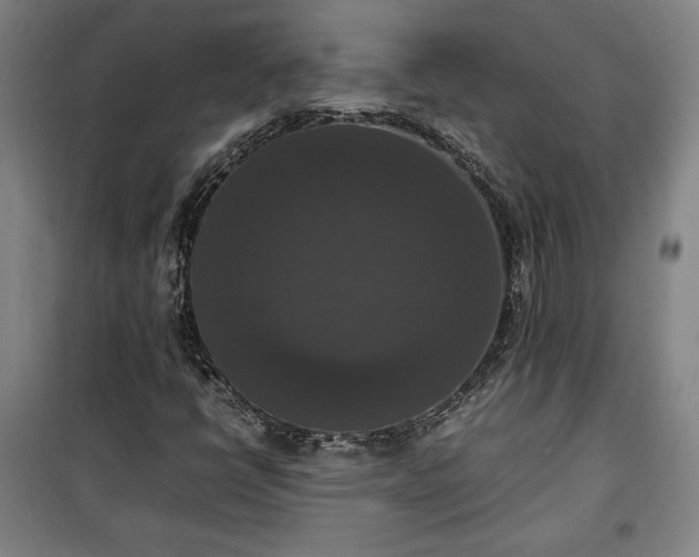 X0000100311398200806121029