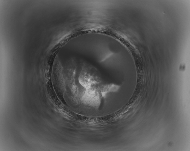 X0000100311399200806121029