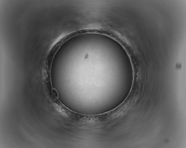 X0000100311400200806121029