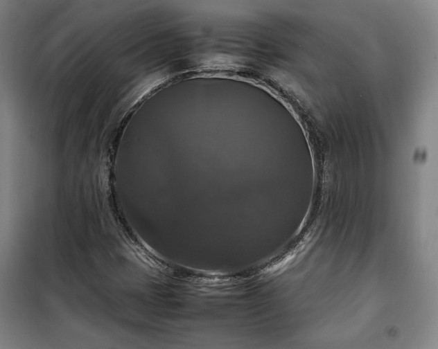 X0000100311401200806121029