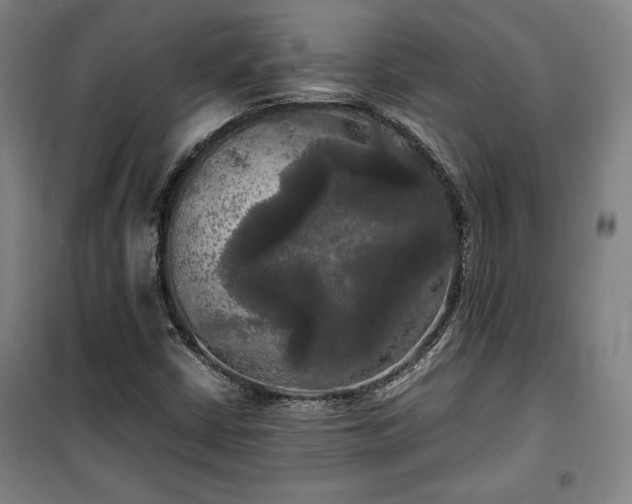 X0000100311402200806121029