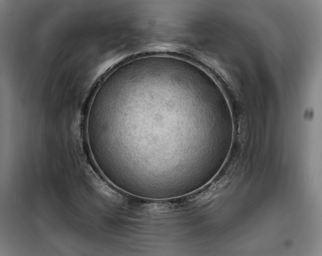 X0000100311404200806121029