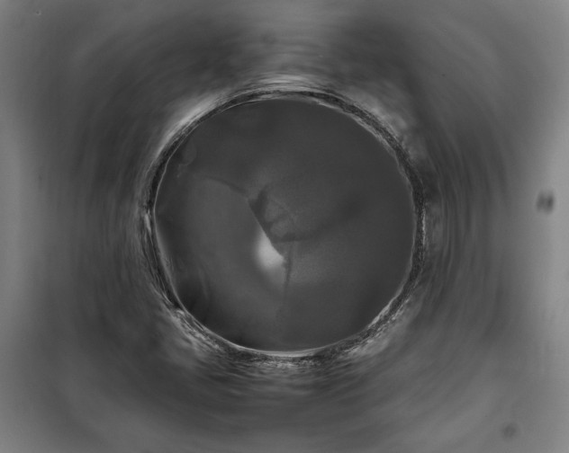 X0000100311405200806121029