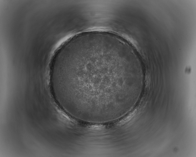 X0000100311406200806121029