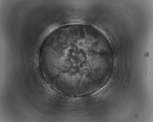 X0000100311407200806121029