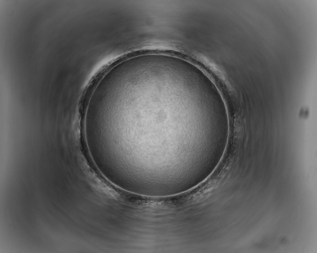 X0000100311408200806121029