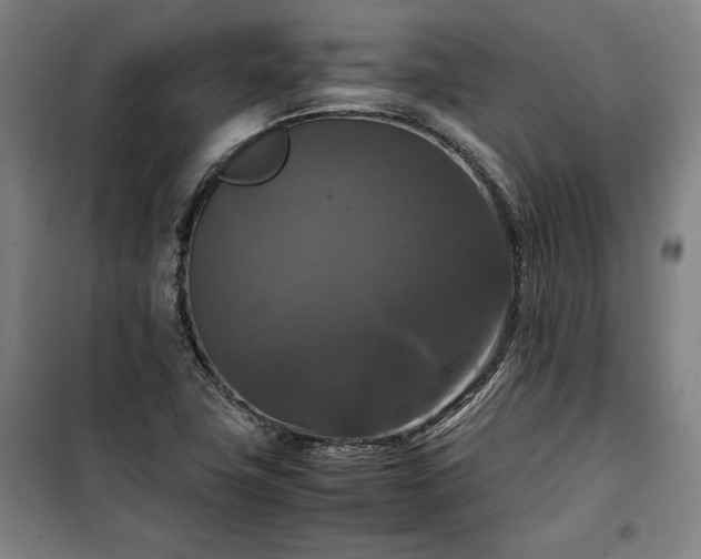 X0000100311411200806121029