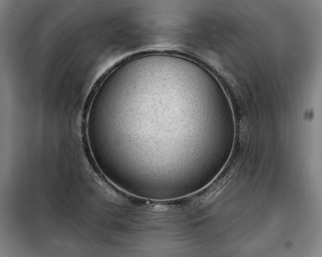 X0000100311412200806121030