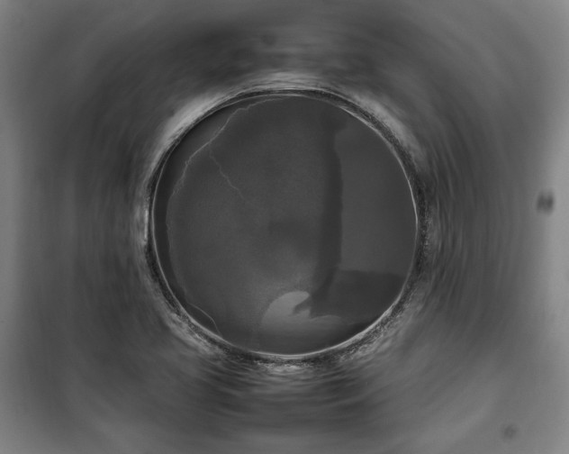X0000100311413200806121030