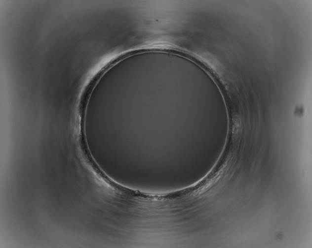 X0000100311414200806121030
