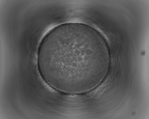 X0000100311416200806121030