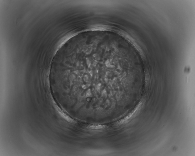X0000100311417200806121030