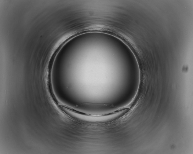 X0000100311418200806121030
