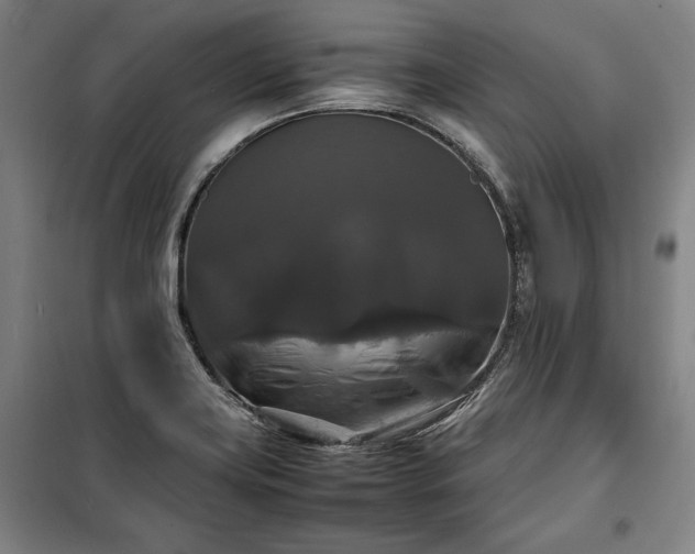 X0000100311419200806121030