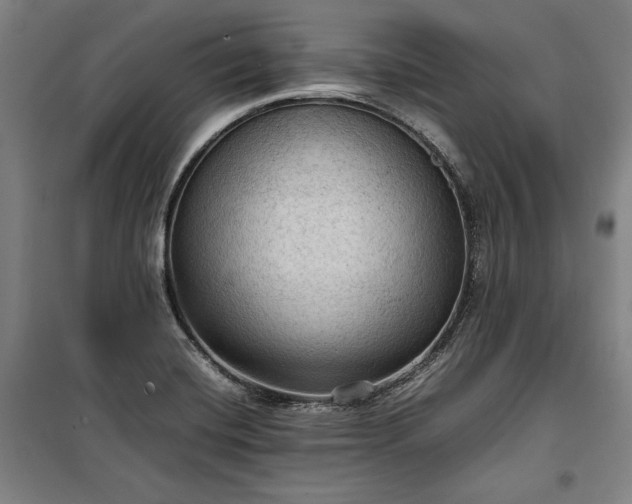 X0000100311420200806121030