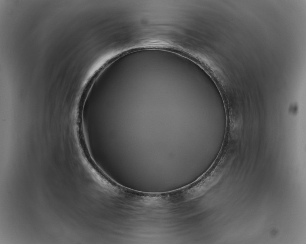 X0000100311422200806121030