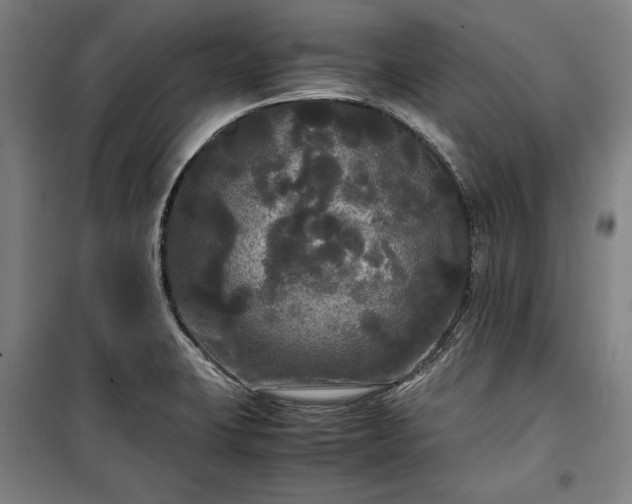X0000100311423200806121030