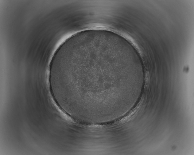 X0000100311424200806121030