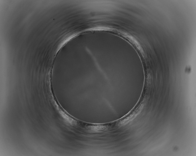 X0000100311425200806121030