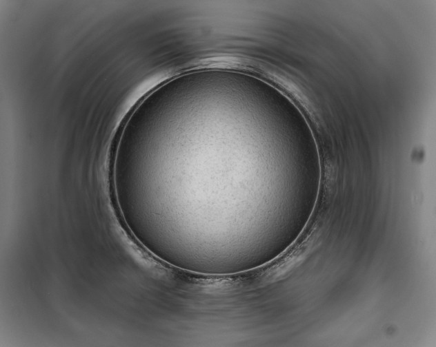 X0000100311426200806121030