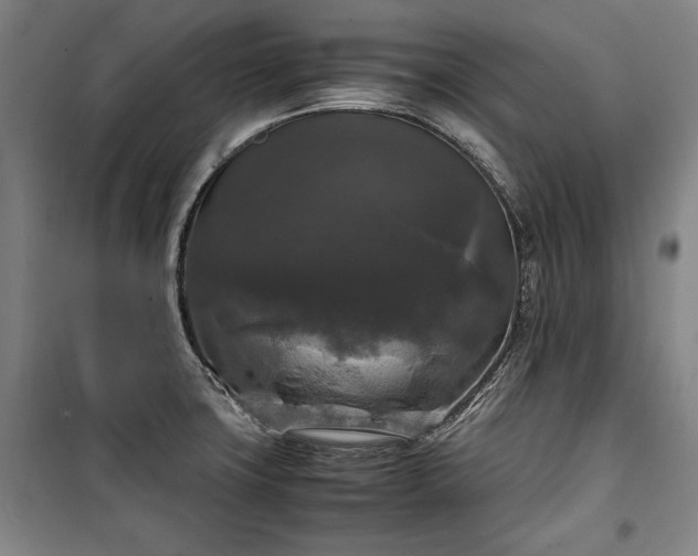 X0000100311427200806121030