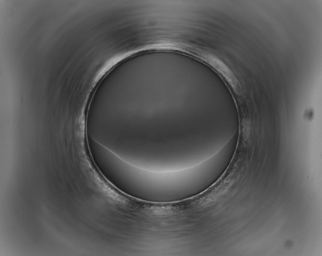 X0000100311428200806121030