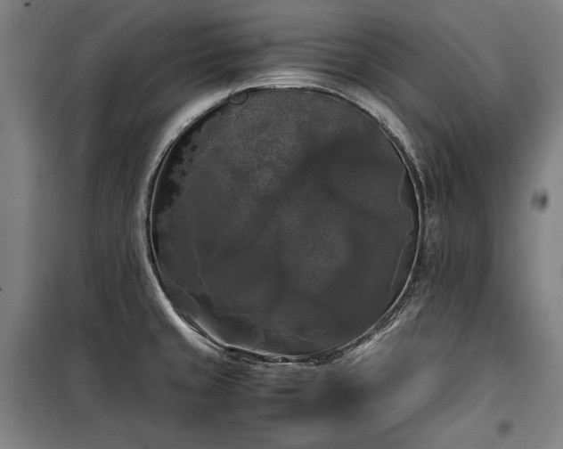 X0000100311429200806121030