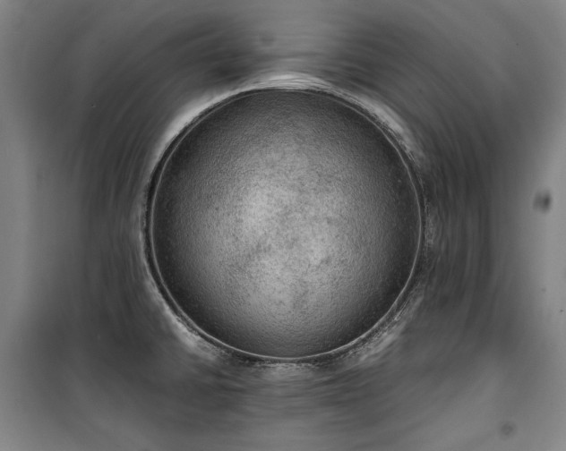 X0000100311430200806121030
