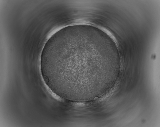 X0000100311431200806121030
