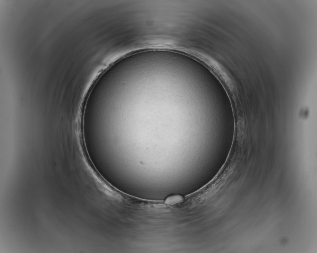 X0000100311432200806121030