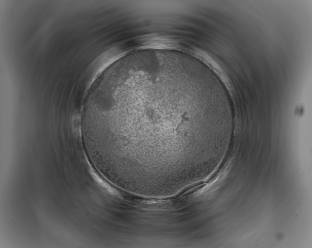 X0000100311433200806121030