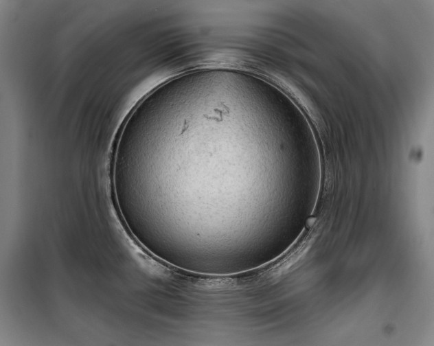 X0000100311434200806121030