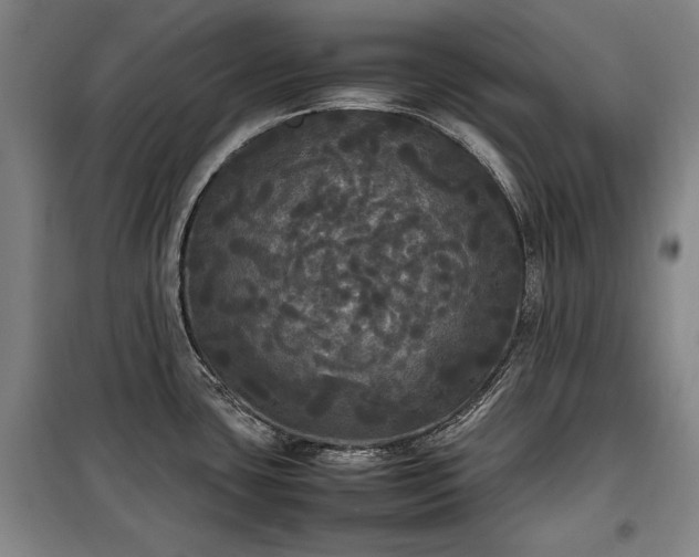 X0000100311435200806121030