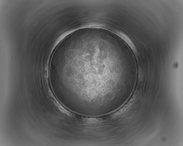 X0000100311436200806121030