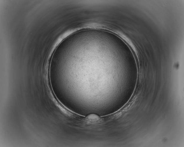 X0000100311437200806121030