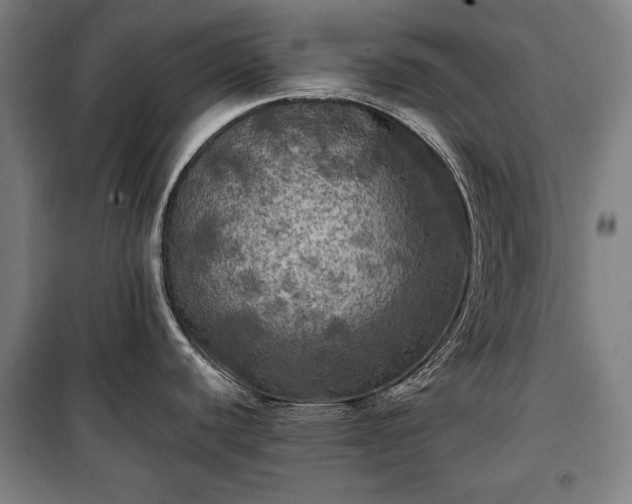 X0000100311440200806121030