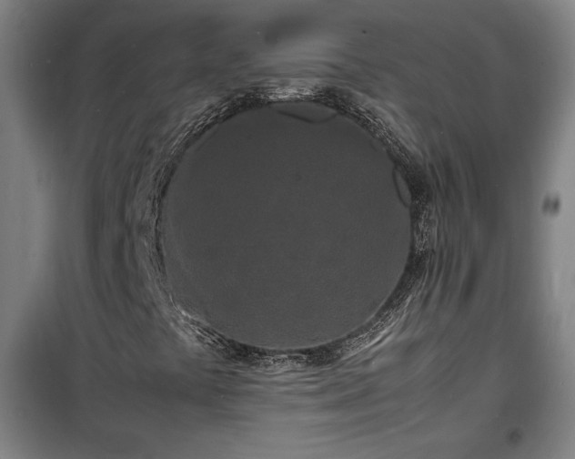X0000100311441200806121029