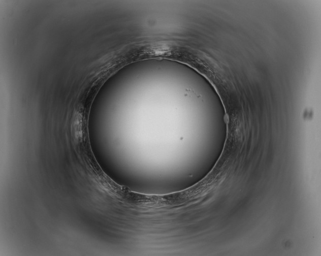 X0000100311442200806121029