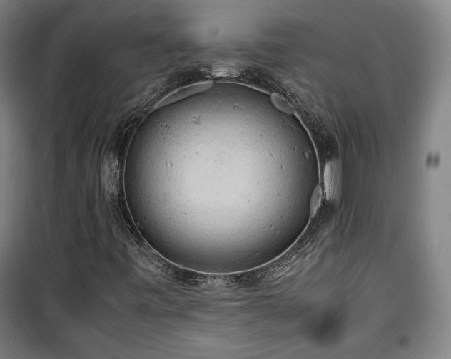 X0000100311443200806121029