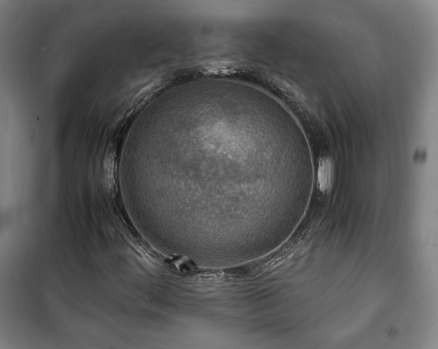 X0000100311444200806121029