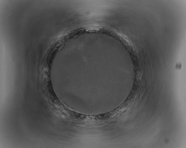 X0000100311445200806121029